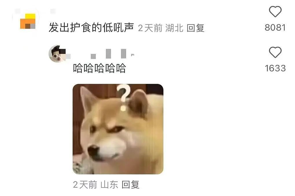 【爆笑】“当亲戚让我考研考编考公三手抓时…？”哈哈哈网友的攻击力我是认可的（组图） - 49