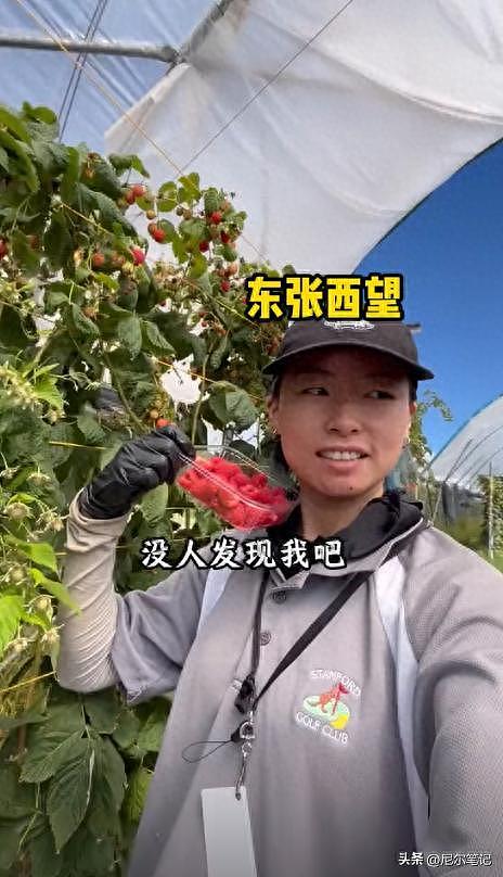 985毕业女孩到澳洲打工:每天果园苦摘水果9小时,日入1877人民币(组图) - 1
