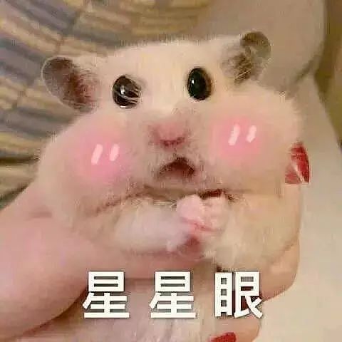 福建学渣为留学澳洲，竟拒绝参加高考！逼父母卖房引热议（组图） - 2