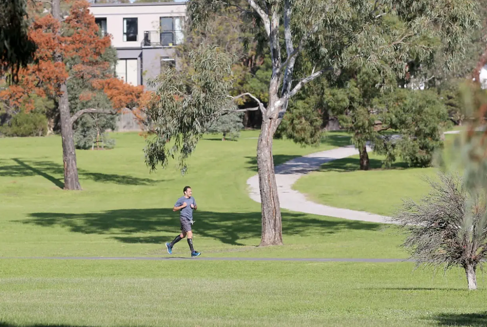 住在Balwyn North！普通人的真实感受！（组图） - 13