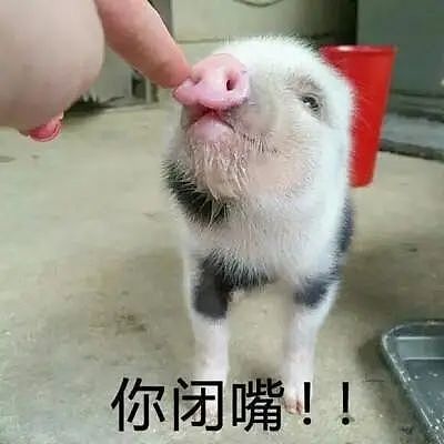 福建学渣为留学澳洲，竟拒绝参加高考！逼父母卖房引热议（组图） - 3