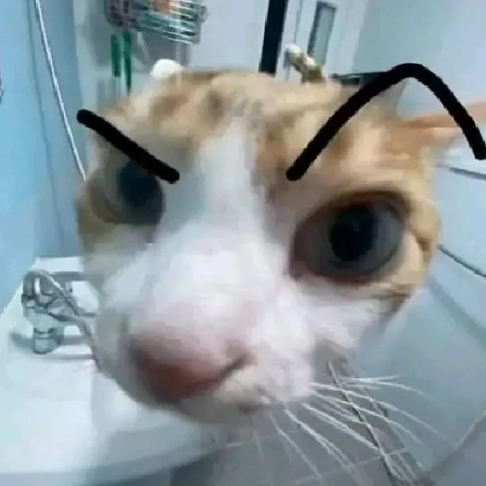 【爆笑】“和阿飘成为室友是什么体验？？”哈哈哈哈哈哈哈恐怖片变喜剧片了！（组图） - 71