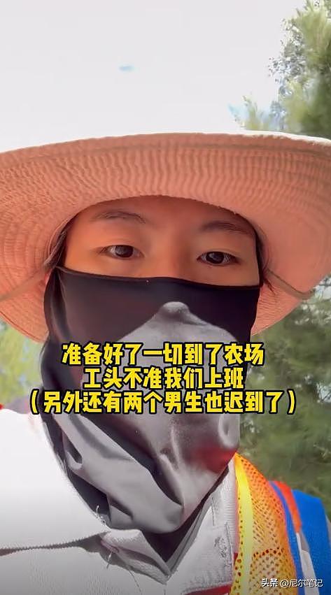 985毕业女孩到澳洲打工:每天果园苦摘水果9小时,日入1877人民币(组图) - 10