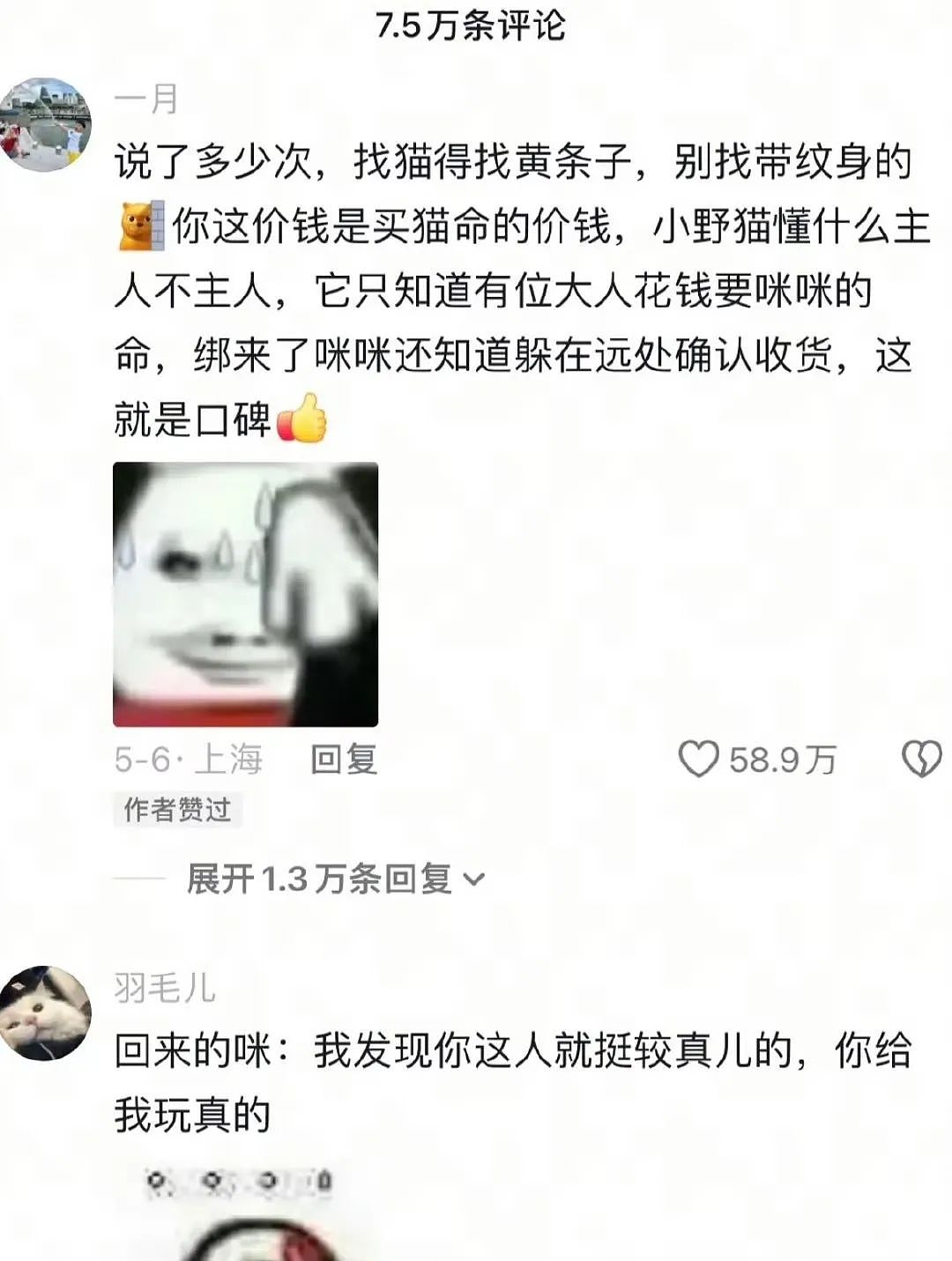【爆笑】“当亲戚让我考研考编考公三手抓时…？”哈哈哈网友的攻击力我是认可的（组图） - 98
