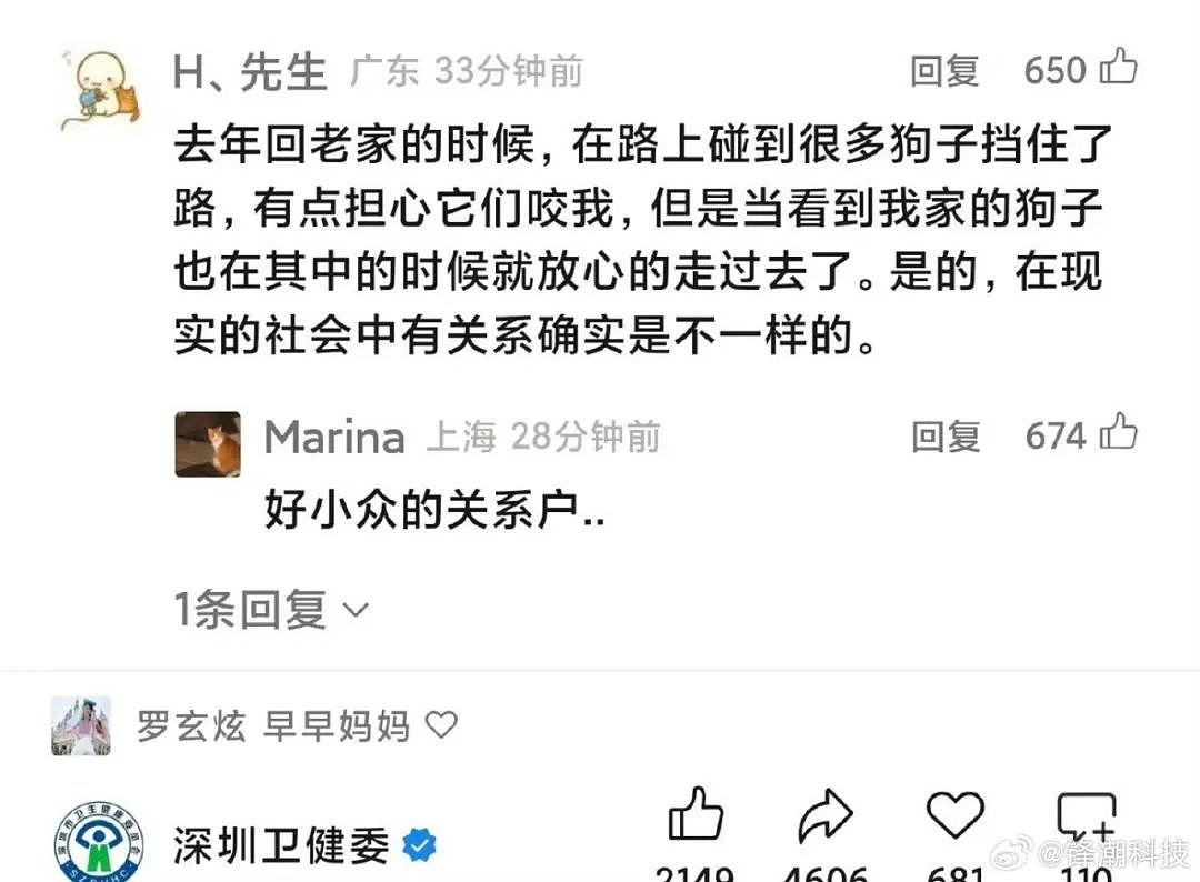 【爆笑】“当亲戚让我考研考编考公三手抓时…？”哈哈哈网友的攻击力我是认可的（组图） - 61