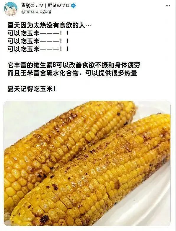 【爆笑】“当亲戚让我考研考编考公三手抓时…？”哈哈哈网友的攻击力我是认可的（组图） - 91