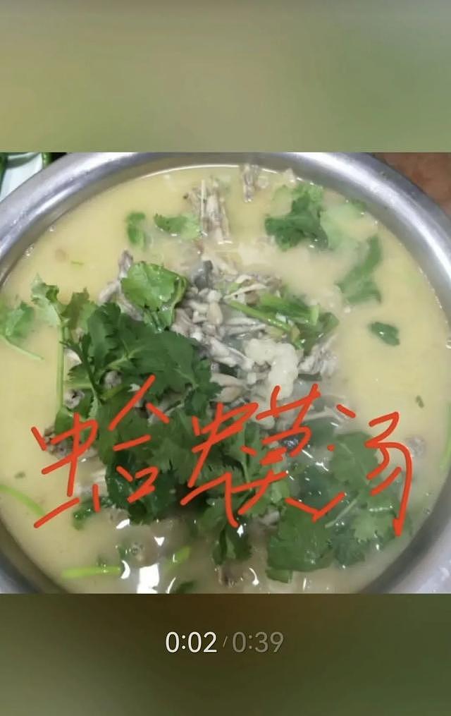 饭馆拍“蛤蟆汤”视频拟被罚45万，当地市监局回应：属国家保护动物（组图） - 4