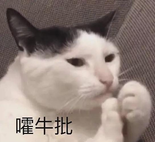 福建学渣为留学澳洲，竟拒绝参加高考！逼父母卖房引热议（组图） - 23