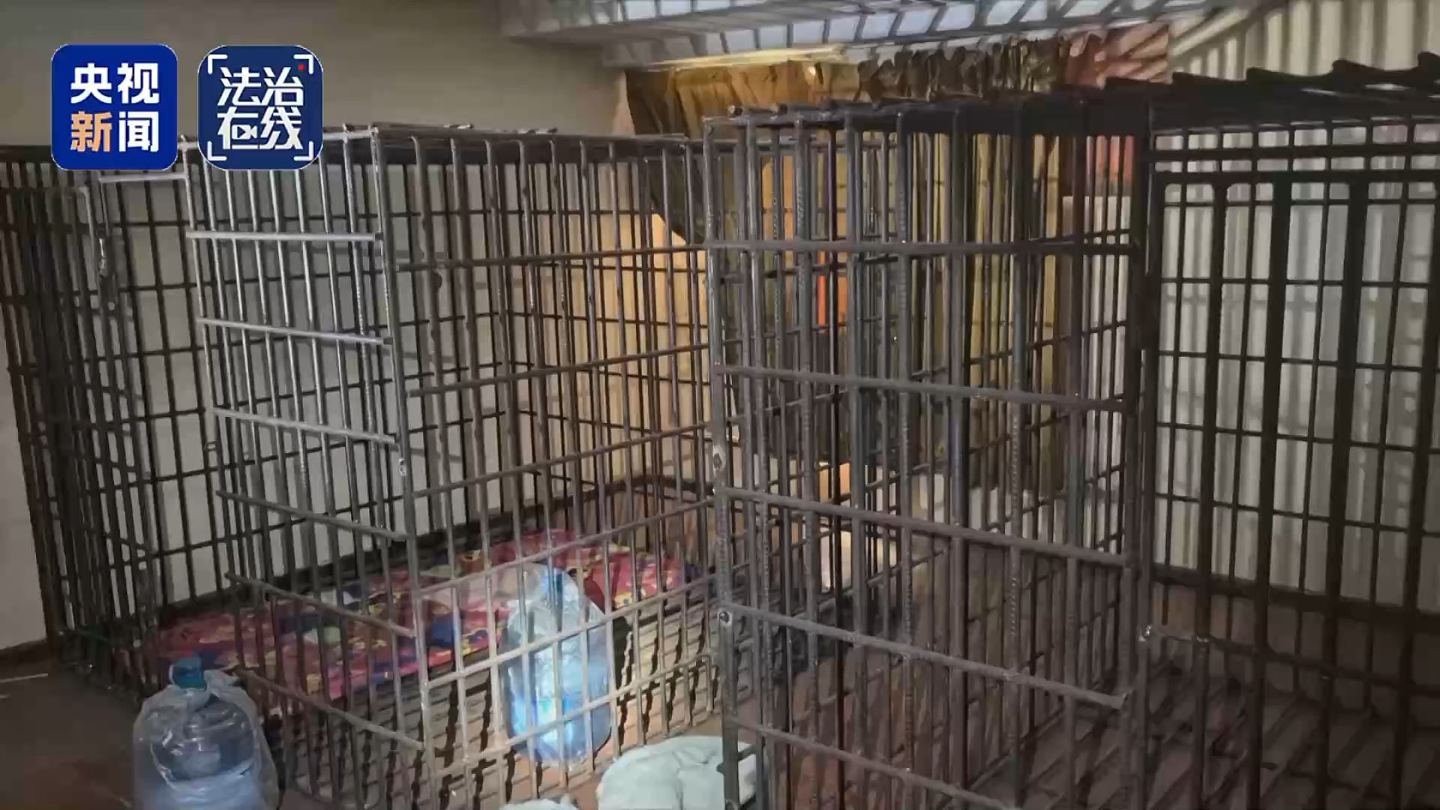关铁笼、剁手指、强迫卖淫…央视揭缅北白家残忍虐待手段,有一套完整惩戒体系(组图) - 2
