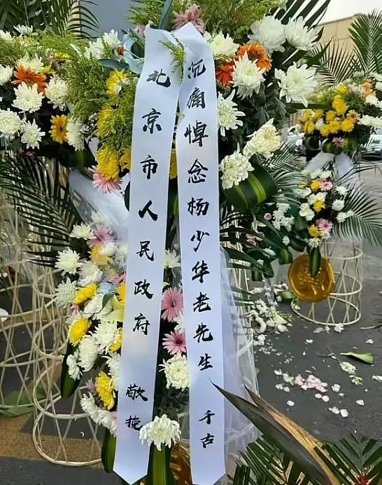 杨少华出殡最大尴尬，常马侯3家无一人到场（组图） - 8