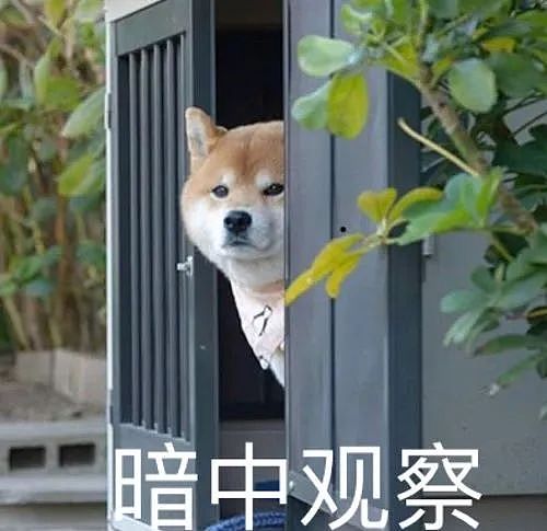 福建学渣为留学澳洲，竟拒绝参加高考！逼父母卖房引热议（组图） - 28