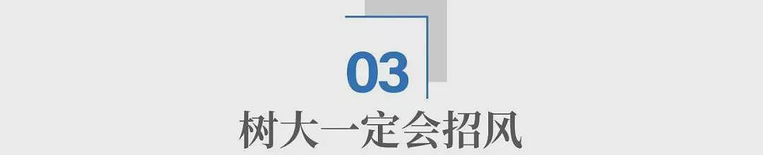 驴象之争闯进一匹马!马斯克,为什么非要从政?(组图) - 4