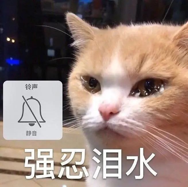 福建学渣为留学澳洲，竟拒绝参加高考！逼父母卖房引热议（组图） - 11