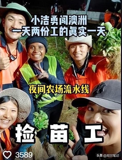 985毕业女孩到澳洲打工:每天果园苦摘水果9小时,日入1877人民币(组图) - 18