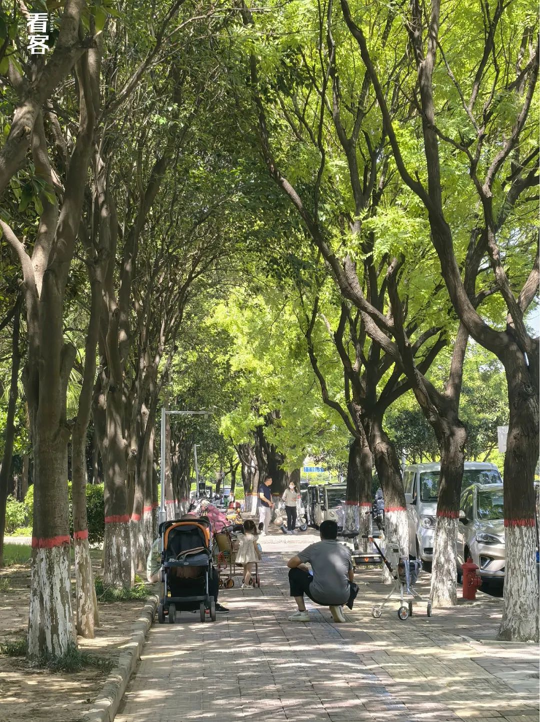 做情感主播的县城女性：赚了打赏，毁了生活（组图） - 6