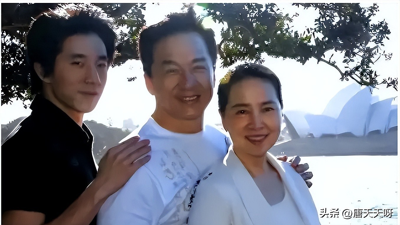 港媒又曝大瓜，谣传成龙在住院期间，林凤娇委托律师启动离婚程序（组图） - 5
