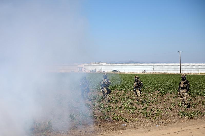 ICE突袭大麻农场逮200人，有童工，抗议者朝警开枪（组图） - 7