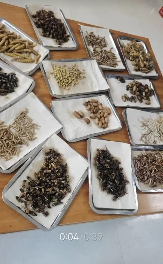 饭馆拍“蛤蟆汤”视频拟被罚45万，当地市监局回应：属国家保护动物（组图） - 5