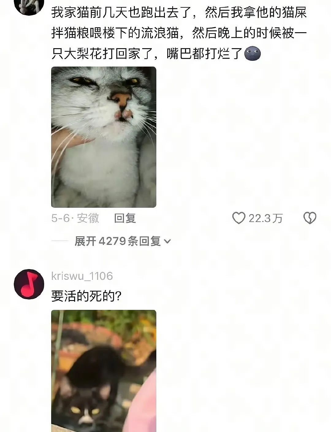 【爆笑】“当亲戚让我考研考编考公三手抓时…？”哈哈哈网友的攻击力我是认可的（组图） - 97