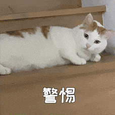 福建学渣为留学澳洲，竟拒绝参加高考！逼父母卖房引热议（组图） - 13