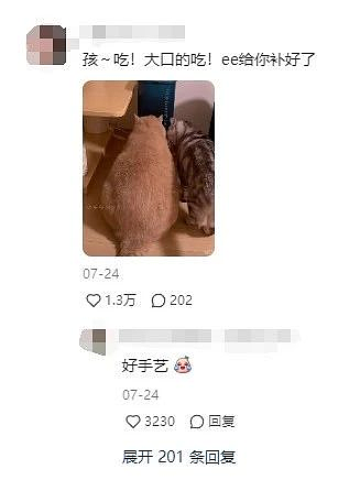 【爆笑】养了3年的猫突然开线了?网友以为是玩具,点开一看笑喷:快缝上,小心秘密被发现!(组图) - 7