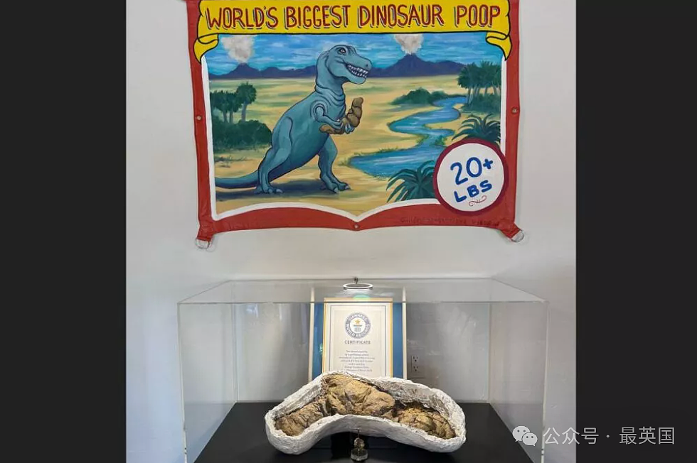 全球“最恶心”博物馆开张！他跑遍世界收集8000多坨粑粑，创下吉尼斯，连昆虫屁也不放过（组图） - 7
