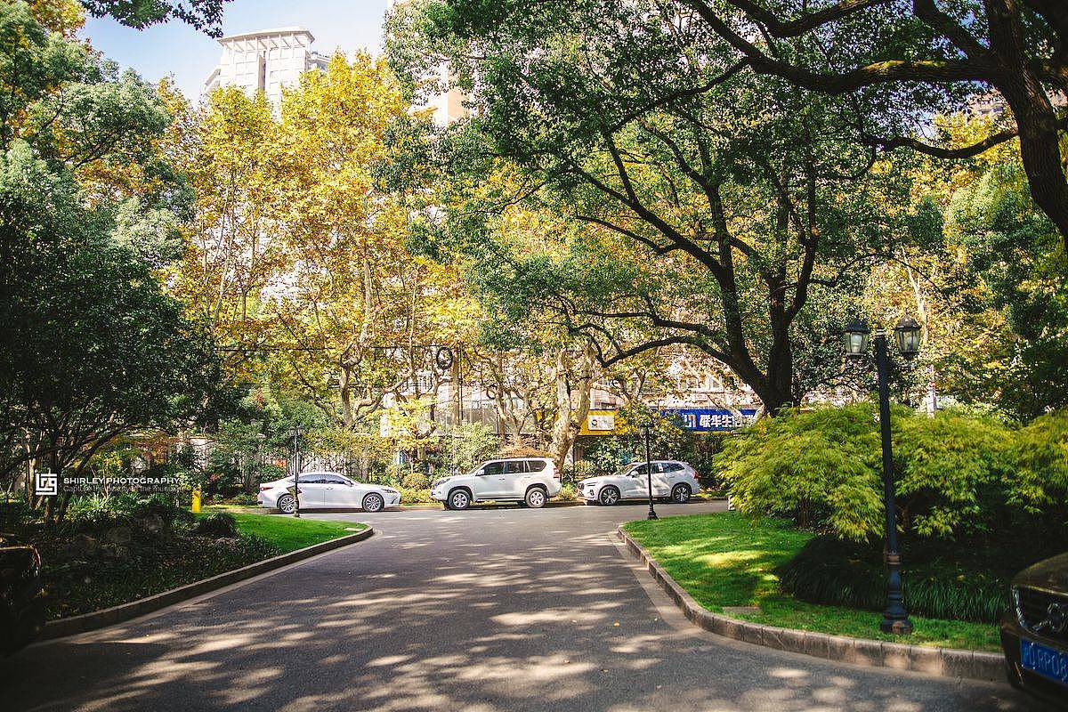 上海闹市的秘密花园，曾是李鸿章在沪藏娇的“金屋“（组图） - 7