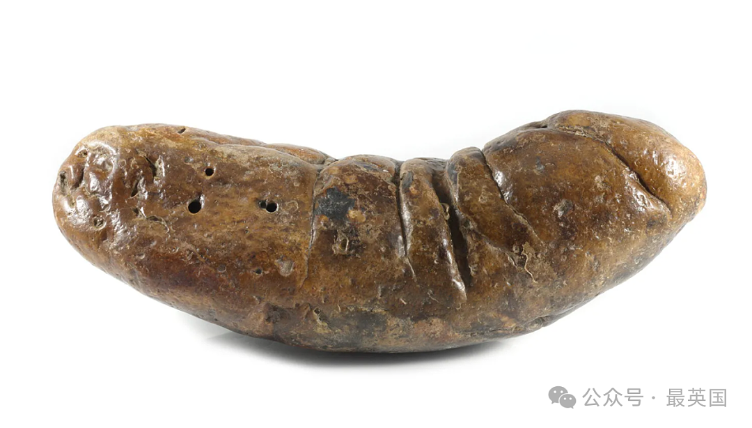 全球“最恶心”博物馆开张！他跑遍世界收集8000多坨粑粑，创下吉尼斯，连昆虫屁也不放过（组图） - 6
