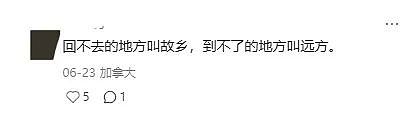 崩溃！出国十年后，我竟成了父母的客人？无数海外游子深夜痛哭：我们的家到底在哪里？（组图） - 4