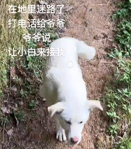【爆笑】海底捞能有多大胆？吃个火锅还能摸帅哥腹肌？网友崩溃：场面一度失控！（组图） - 14