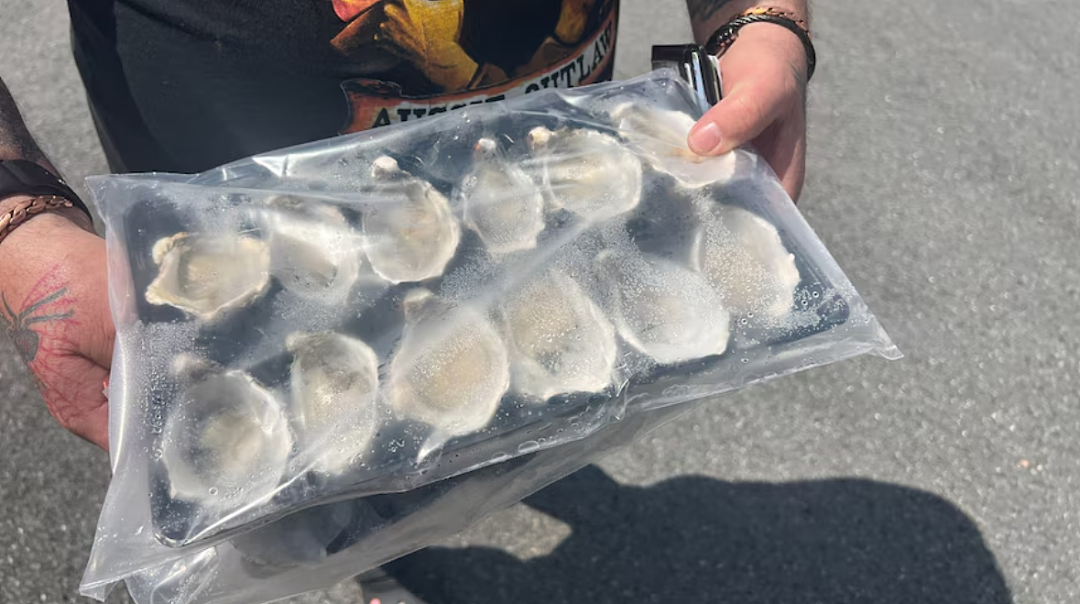 紧急提醒!澳洲鱼类、生蚝全出爆雷,半价都不买!而华人最爱的海鲜,却可以随便抓了吃...(组图) - 15