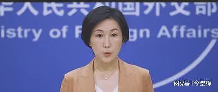 又搞事！“孟晚舟事件”在米兰再次上演，美国密令逮捕中国工程师（组图） - 12