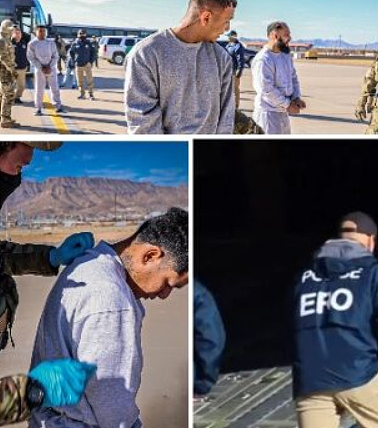 全员恶人！关移民监囚犯罪行曝光，4华人因干这些事被拘，已收最终驱逐令（组图） - 1