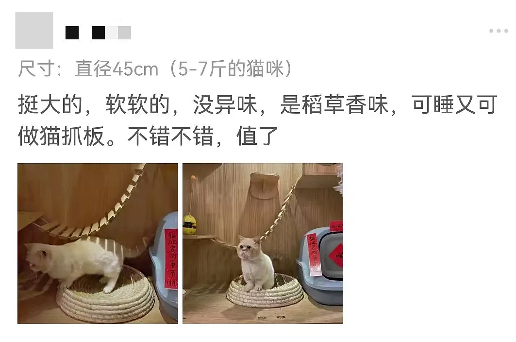 【宠物】果篮老板提醒“这不是猫窝哦”，网友不信偏要买，到手后差点笑晕...猫：喂我花生（组图） - 9