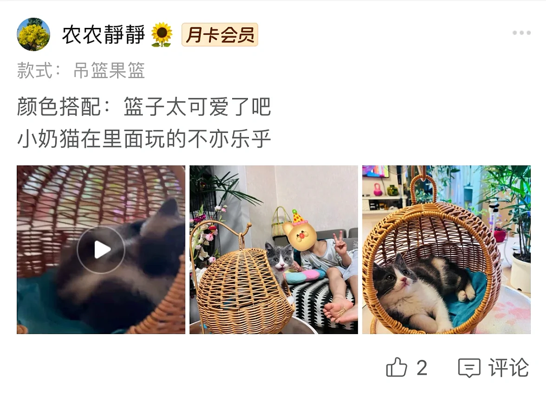 【宠物】果篮老板提醒“这不是猫窝哦”，网友不信偏要买，到手后差点笑晕...猫：喂我花生（组图） - 4