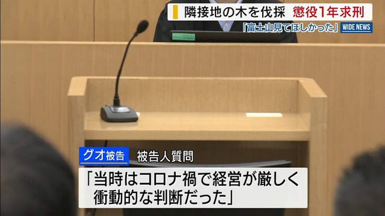 富士山开酒店乱砍邻居树，中国籍男子出庭求饶：我们全家想取得日本国籍（组图） - 13