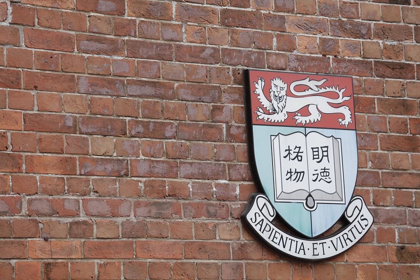 港大男生用AI制作700多张同学不雅照，校方回应（组图） - 5