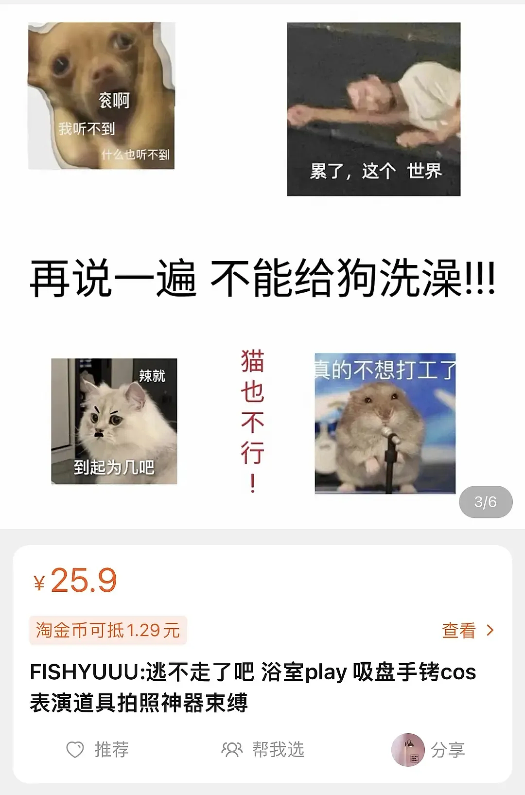 【宠物】果篮老板提醒“这不是猫窝哦”，网友不信偏要买，到手后差点笑晕...猫：喂我花生（组图） - 15