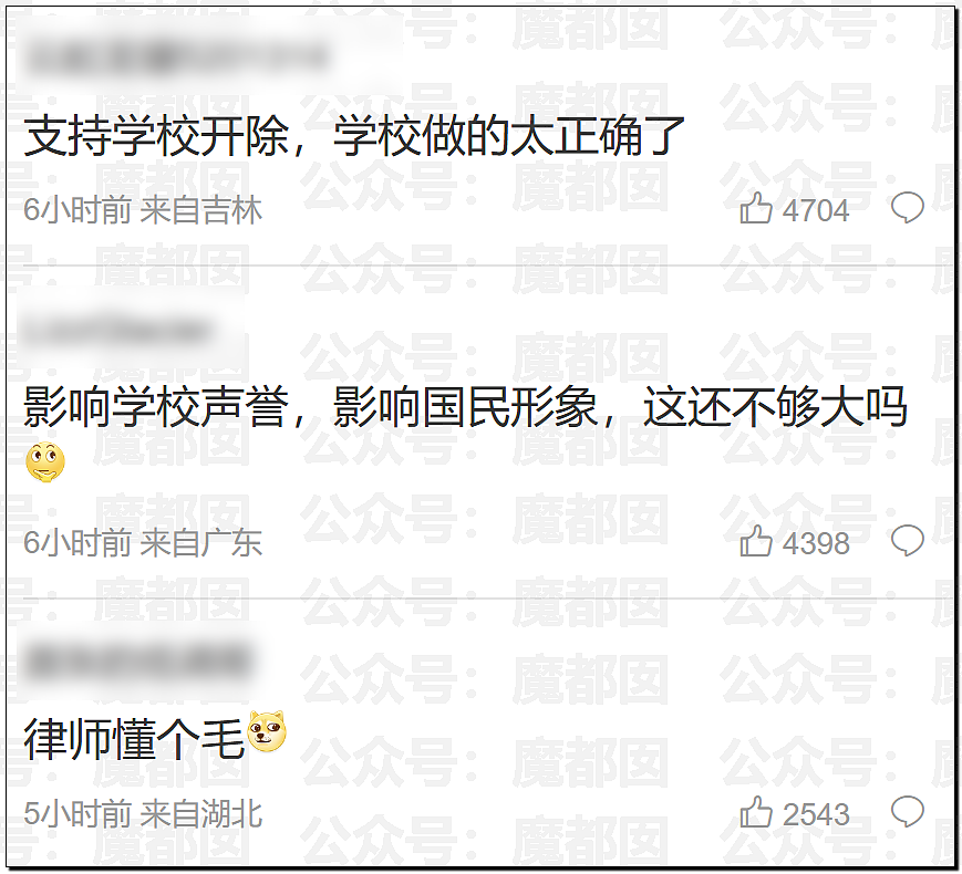 约炮外国人“有损国格”？大连工大开除女生事件引爆热议，胡锡进等多名大V发声（组图） - 18