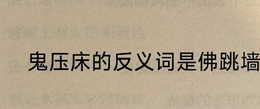 【爆笑】巴黎世家售价2.38w的3D打印上衣？网友迷惑：这谁能驾驭啊？ ​​​（组图） - 17