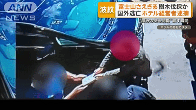 富士山开酒店乱砍邻居树，中国籍男子出庭求饶：我们全家想取得日本国籍（组图） - 10