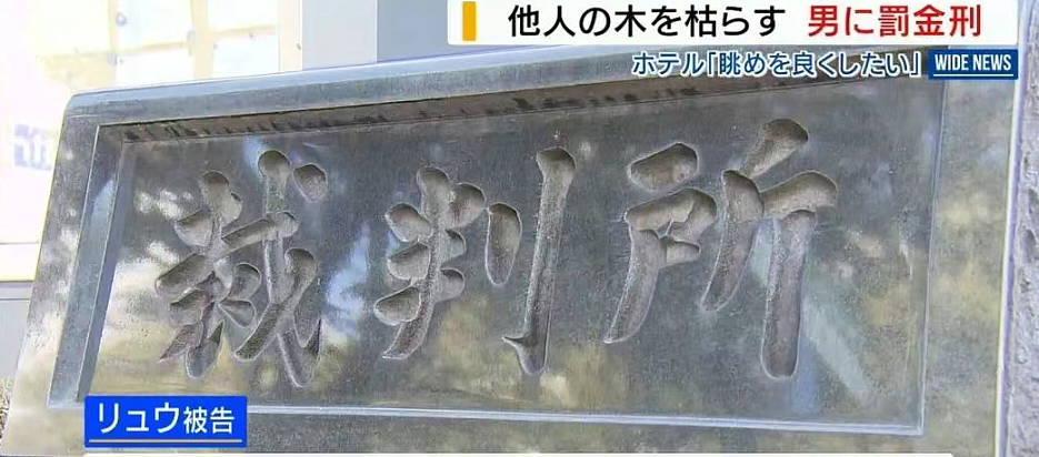 富士山开酒店乱砍邻居树，中国籍男子出庭求饶：我们全家想取得日本国籍（组图） - 11