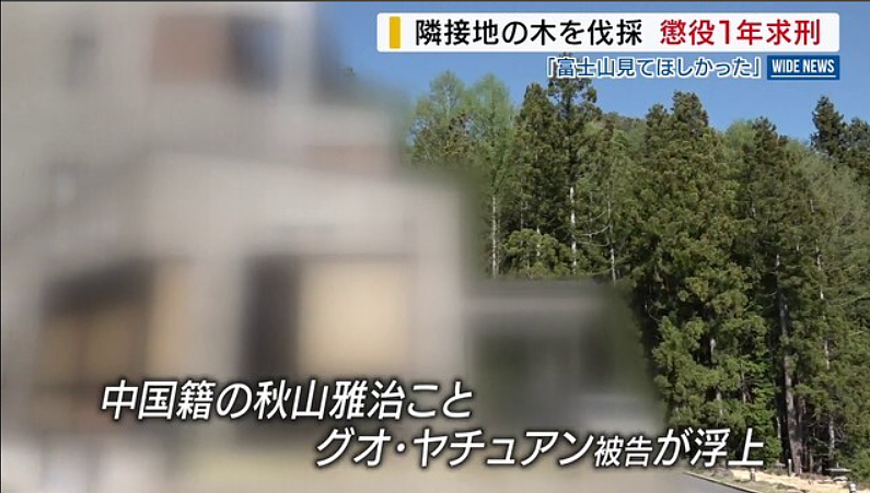 富士山开酒店乱砍邻居树，中国籍男子出庭求饶：我们全家想取得日本国籍（组图） - 3