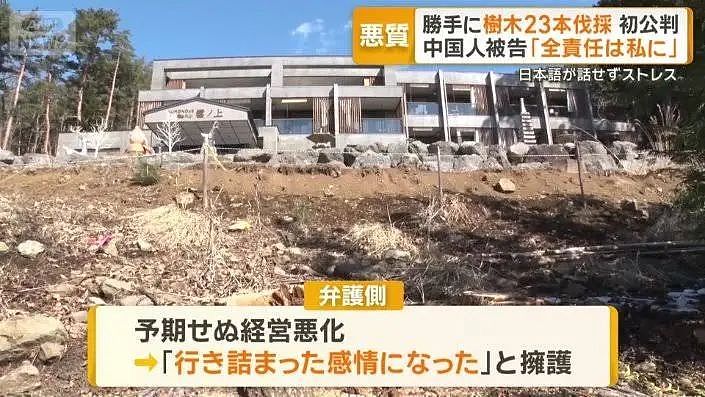 富士山开酒店乱砍邻居树，中国籍男子出庭求饶：我们全家想取得日本国籍（组图） - 14