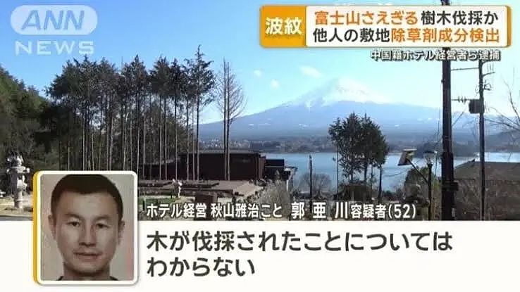 富士山开酒店乱砍邻居树，中国籍男子出庭求饶：我们全家想取得日本国籍（组图） - 2