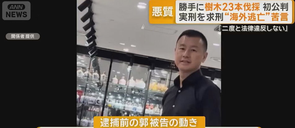 富士山开酒店乱砍邻居树，中国籍男子出庭求饶：我们全家想取得日本国籍（组图） - 8