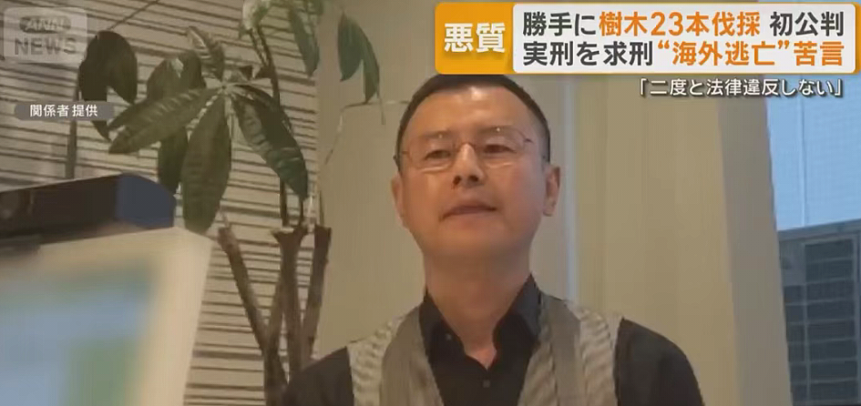 富士山开酒店乱砍邻居树，中国籍男子出庭求饶：我们全家想取得日本国籍（组图） - 9