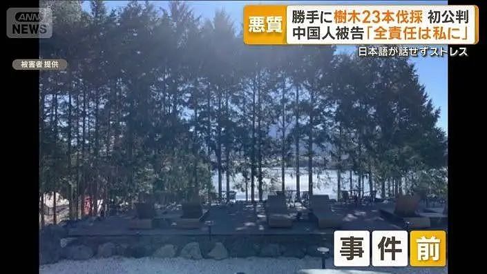 富士山开酒店乱砍邻居树，中国籍男子出庭求饶：我们全家想取得日本国籍（组图） - 4