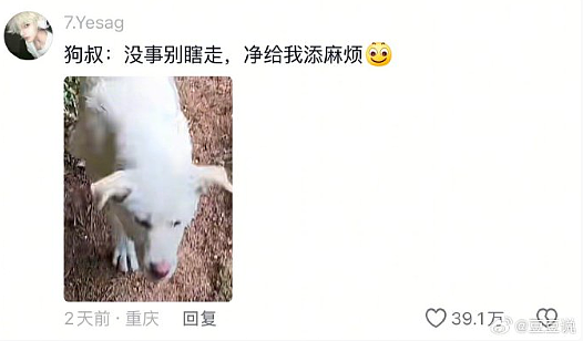 【爆笑】海底捞能有多大胆?吃个火锅还能摸帅哥腹肌?网友崩溃:场面一度失控(组图) - 14