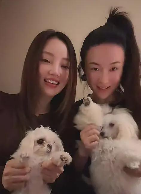 李小璐二胎风波再添新料,被质疑国外代孕,更多细节被扒(组图) - 10